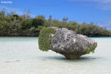 8223-isle-of-pines.jpg