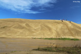 2285-te-paki-sand-dunes.jpg