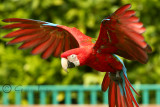 Paradise wildlife park, Broxbourne