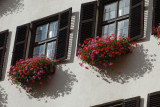 Bavarian Window Boxes