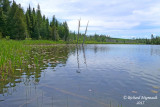 Paysage Lac Edward 2 m15