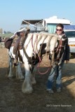 GypsyVanner.jpg