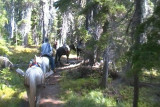 SDV_0435.jpg