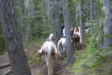 SDV_0437.jpg