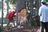 SDV_0468.jpg