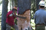 SDV_0469.jpg