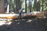 SDV_0485.jpg