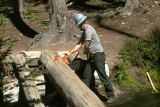 SDV_0489.jpg