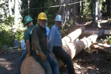 SDV_0492.jpg
