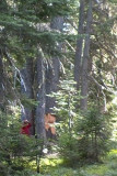 SDV_0462.jpg