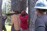 19 -Notch Cut.jpg