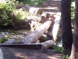 2 - Goodwin Meadows Bridge - Before.jpg