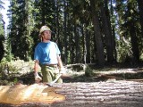 27 - Pelling Stringers.jpg
