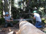 32 - Cutting stringer to length.jpg