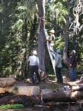 36 - Setting up rigging.jpg