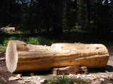 54 - Notched sill.jpg