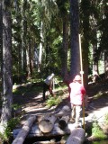 59 - Setting sill log.jpg