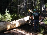 84 - Setting second stringer.jpg