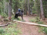 96 -Pulling Toe Log.jpg