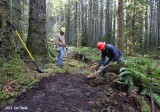 Dec 27, 2013 Clearing Trail