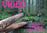 Project Video