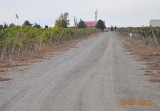 DSC_1285.jpg