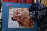 Wildlife 1st: Becky Siebel-Grizzly-Alaska