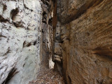 Gum Branch Puzzle Arch