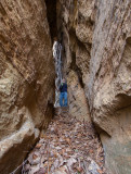 Gum Branch Puzzle Arch