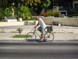 P3202515-Local-Biker.jpg