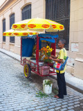 P3231811-maggi-Flowers.jpg