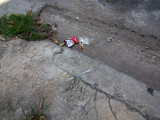 P3272218-rubbish.jpg