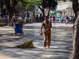 P4020963-Sweeper.jpg