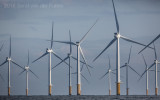 Noordzee; North sea