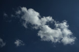 200613_0014.jpg