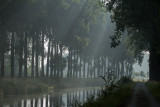 Spiere kanaal.jpg