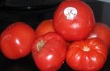 Eli and Ali Tomato.jpg