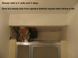Shower 1.png