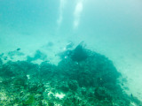Maldives underwater-2397.jpg