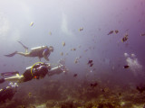 Raja Ampat underwater-4002.jpg