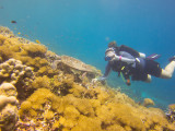 Raja Ampat underwater-4233.jpg