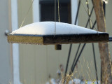 snow on my birthday2081-1024.jpg