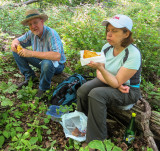SOTA, W2/NJ-010; lunch for WB2REI and sherpa Anne (6/9/2013)