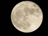 11-14 Day old Super Moon