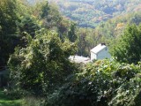 DSCF4248.jpg