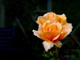 2016-09-04 10:41