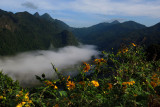 Doi Ang Khang  - Thailand