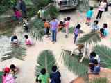 IMG_1624x.jpg