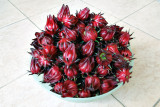 Roselle