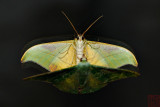 _LCX4671x.jpg
